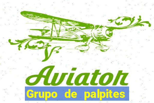 Grupo de palpites de futebol gratis